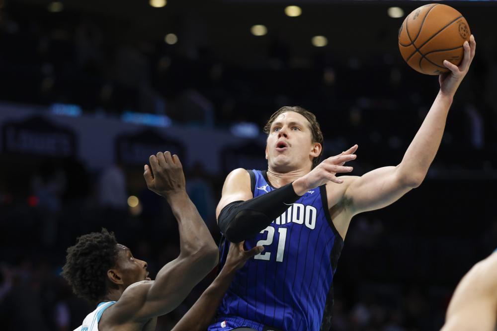 杨明洋的加 杨明洋的加